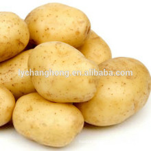 2014 neue Ernte frische Kartoffeln hohe quaility und loe Preis